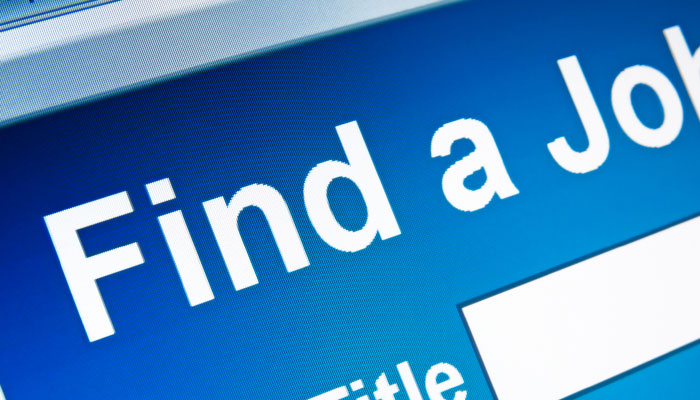 job wedsites