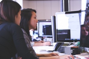 job shadowing opportunities